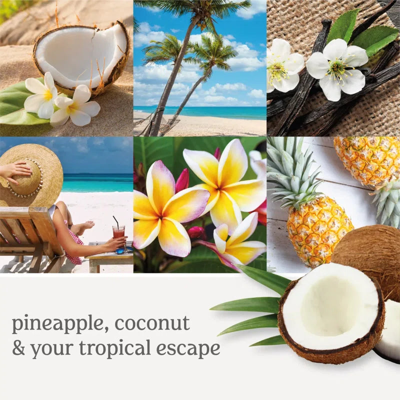 Signature Coconut Beach Scented Candle